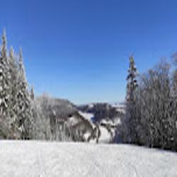 Czarnow-ski - logo