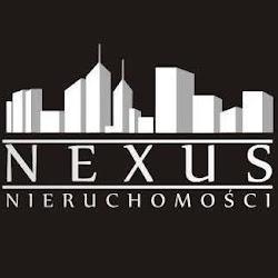 Bn-nexus - logo