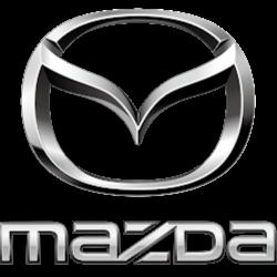 Zdanowicz - logo