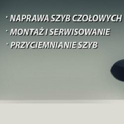 Car glass - logo
