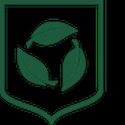 Czysty region - logo