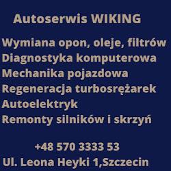Wikingauto - logo