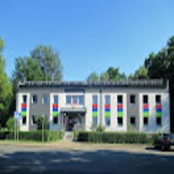 Psse - logo