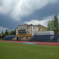 Pszczyna - logo
