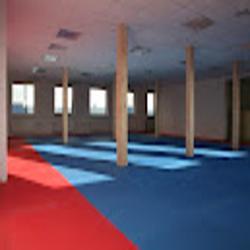 Karate - logo