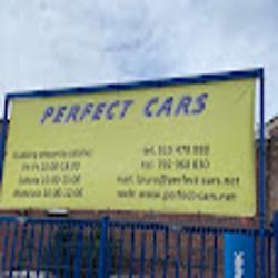 Perfect cars - logo