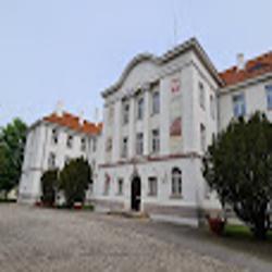 Czart - logo