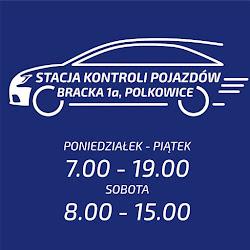 Skp - logo