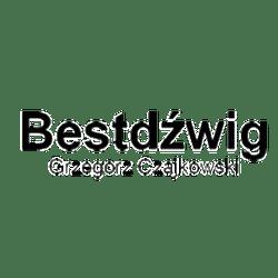 Bestdzwig - logo