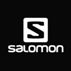 Salonklimczok - logo