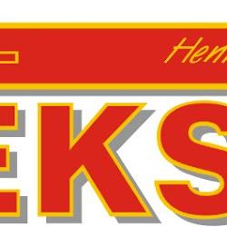 Teksik - logo