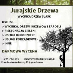 Jurajskiedrzewa - logo