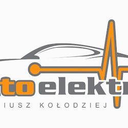 Auto elektro - logo