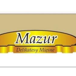 Delikatesy miesne mazur - logo