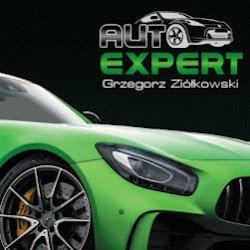 Auto expert - logo
