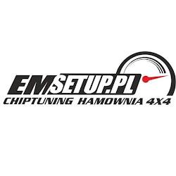 Emsetup - logo