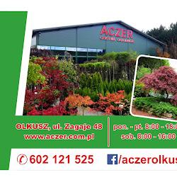 Aczer - logo