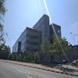 Gpnt - logo