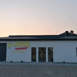 Hurtowniaelektryczna-pstryk - logo