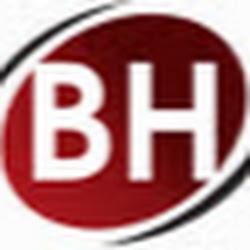 Bhperfekt - logo