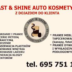 Fast and shine - logo
