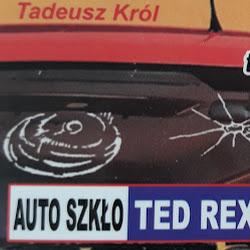 Tedrex - logo