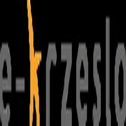 E-krzeslo - logo