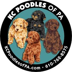 Kcpoodlesofpa - logo