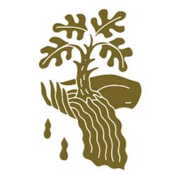 Drownedlands - logo