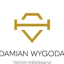 Damianwygoda - logo