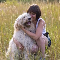 Dog-net - logo