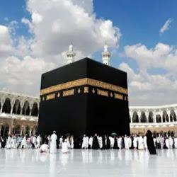 Al tariqlilnajahumrahtours - logo