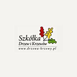 Drzewa-krzewy - logo