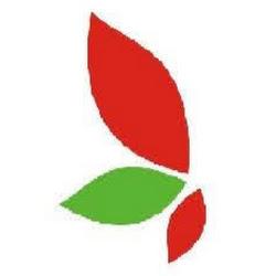 Kreatywnyswiat - logo