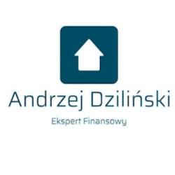 Dzilinski kredyty - logo