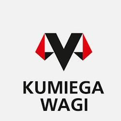 Wagi - logo
