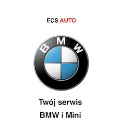 Ecsauto - logo