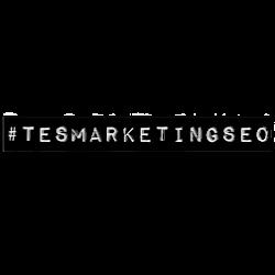 Digitalsocialmediamarketing - logo