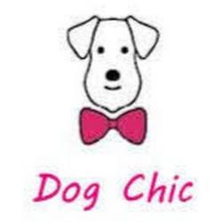 Dogandchic - logo