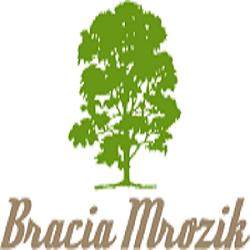 Braciamrozik - logo