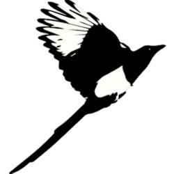 Rioarribaadultliteracyprogram - logo