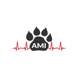 Ami-jk - logo