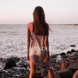 Lavendershop - logo
