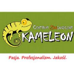 Kameleonpiotrkow - logo