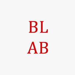 Boundrylineautobody - logo