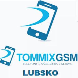 Serwisgsmlubsko - logo
