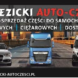 Brzezicki-autoczesci - logo