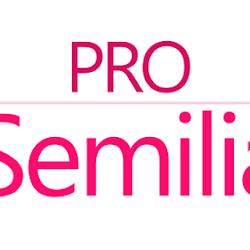 Semilia - logo