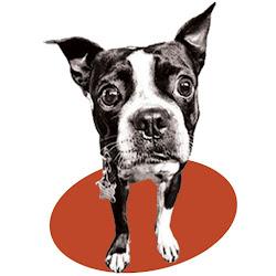 Mantoothcompany - logo