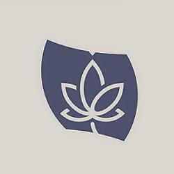 Nevershy - logo